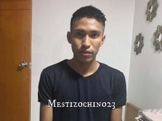 Mestizochino23