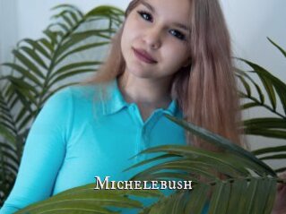 Michelebush