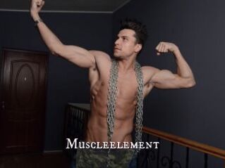 Muscleelement