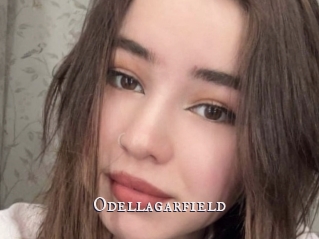 Odellagarfield