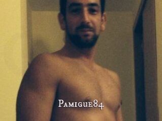 Pamigue84