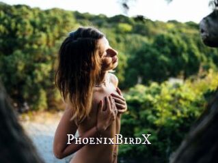 PhoenixBirdX