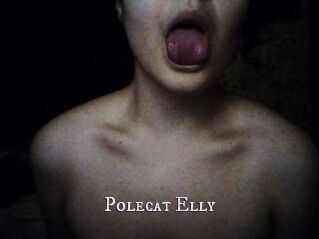 Polecat_Elly