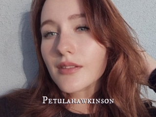 Petulahawkinson