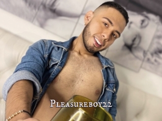 Pleasureboy22
