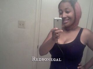 Redbonegal