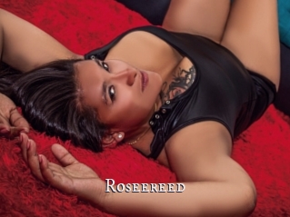 Roseereed