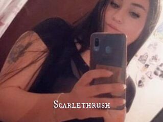 Scarlethrush