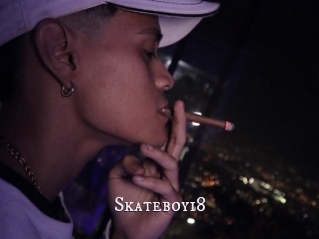 Skateboy18