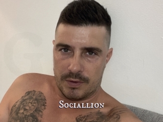 Sociallion