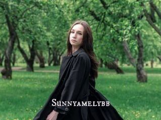 Sunnyamelybb