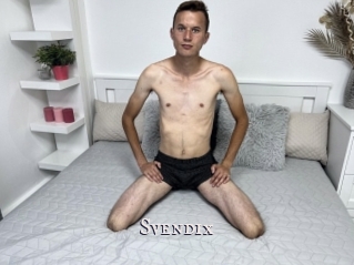 Svendix