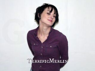 TerrificMerlin