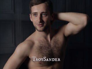 TroySander