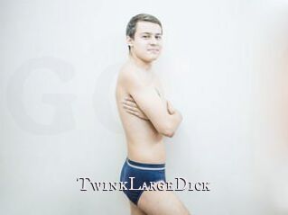 TwinkLargeDick