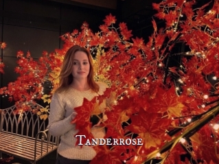 Tanderrose