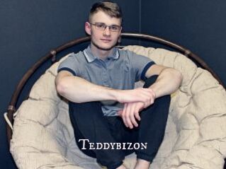 Teddybizon