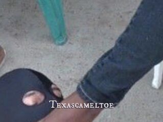 Texascameltoe