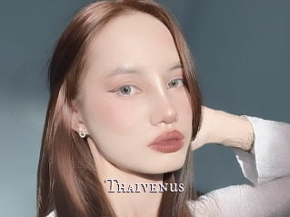 Thaivenus