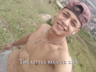 The_little_bruette_228