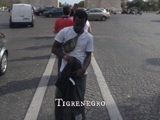 Tigrenegro