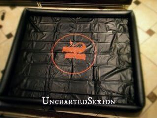 UnchartedSexion