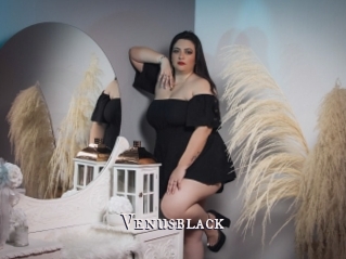 Venusblack