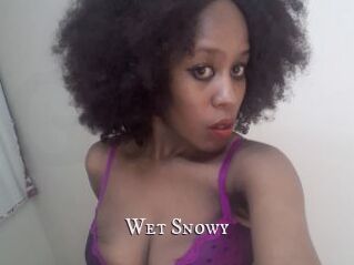 Wet_Snowy