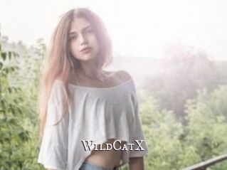 Wild_CatX