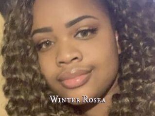 Winter_Rosea