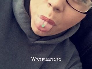 Wetpussy210