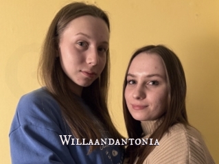 Willaandantonia