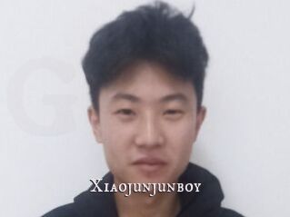 Xiaojunjunboy