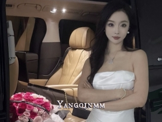 Yangqinmm